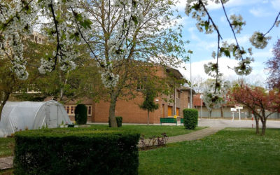 colegio-paula-montal-ikastetxea